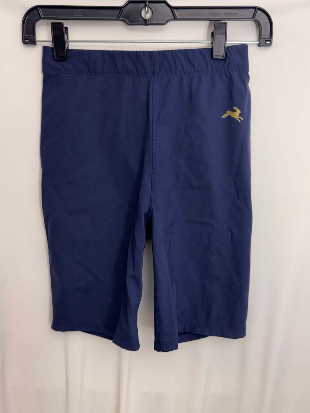 Tracksmith Allston Long Shorts